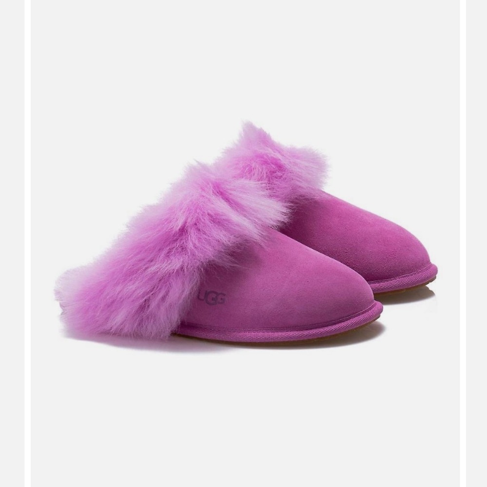 completely nwt and in box ugg scuff slip slippers purple ruby / lilac